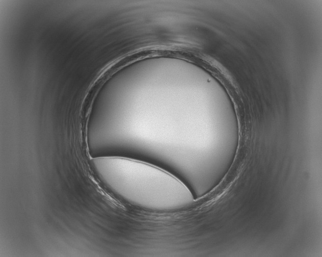 X0000084040829200702160851