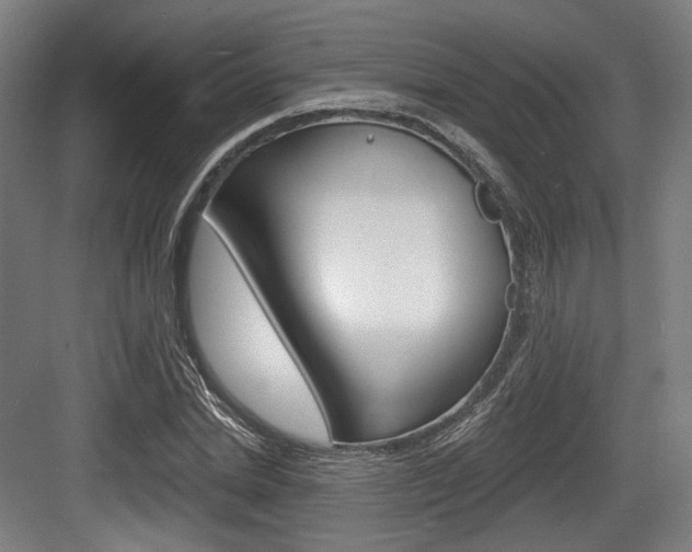 X0000084040830200702160851
