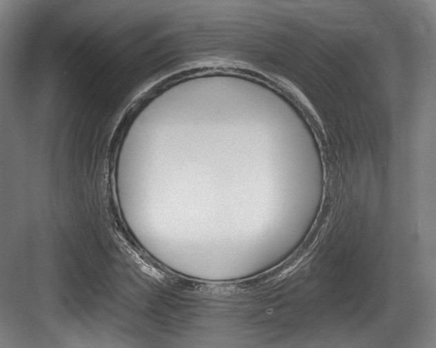 X0000084040831200702160851