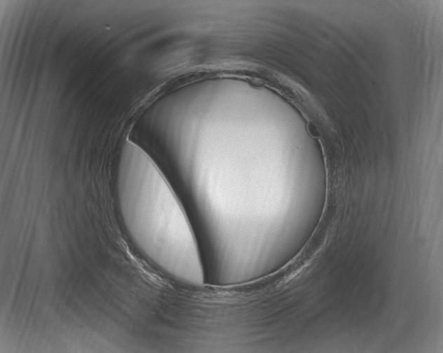 X0000084040833200702160851