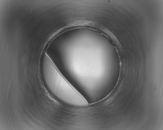 X0000084040834200702160851