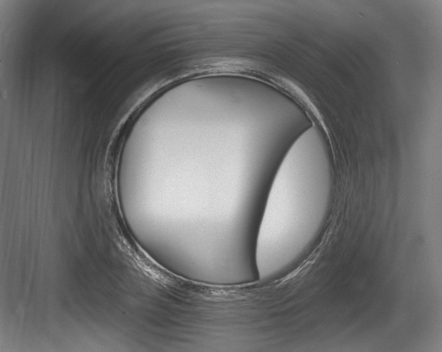 X0000084040835200702160851