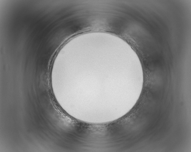 X0000084040836200702160851
