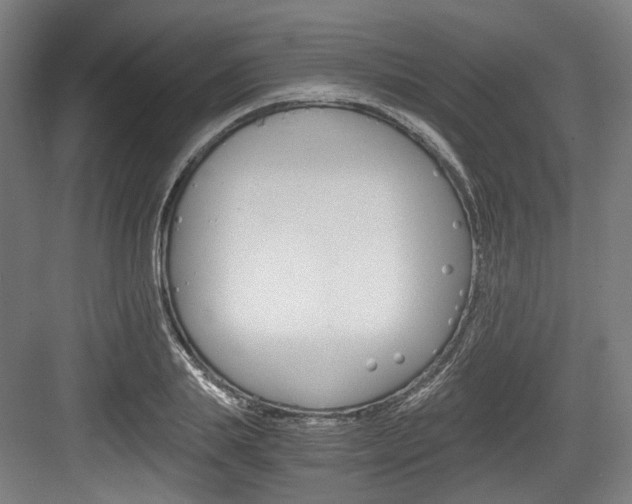 X0000084040839200702160851