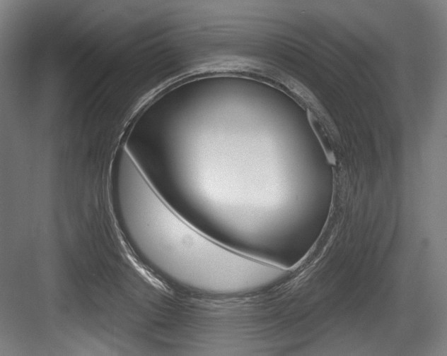 X0000084040842200702160851