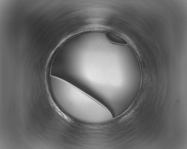 X0000084040843200702160851