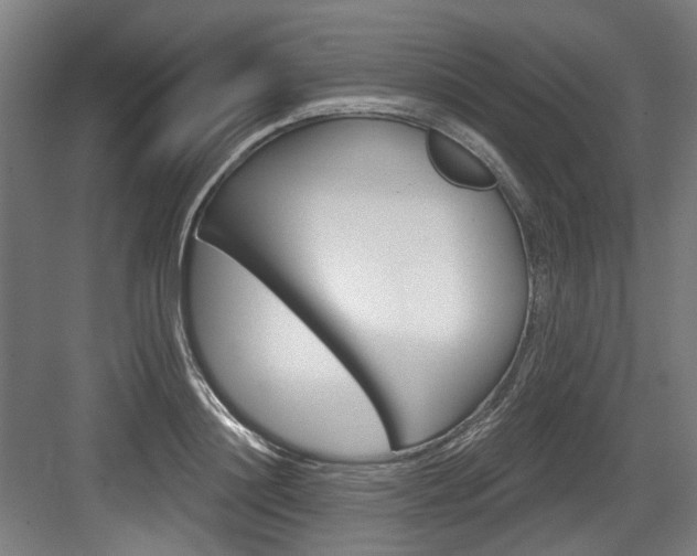 X0000084040844200702160851