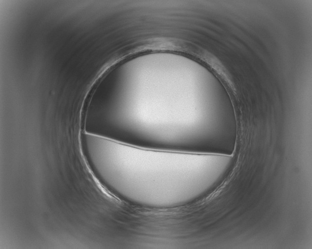 X0000084040845200702160851