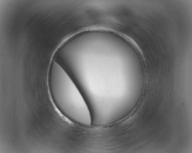 X0000084040847200702160851
