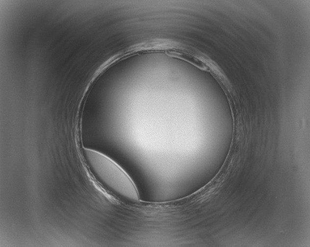 X0000084040850200702160851