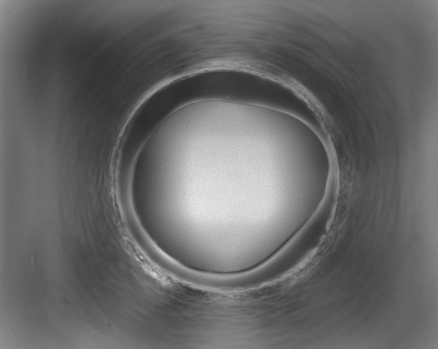 X0000084040854200702160851