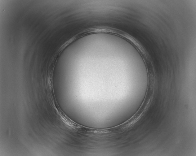 X0000084040857200702160851