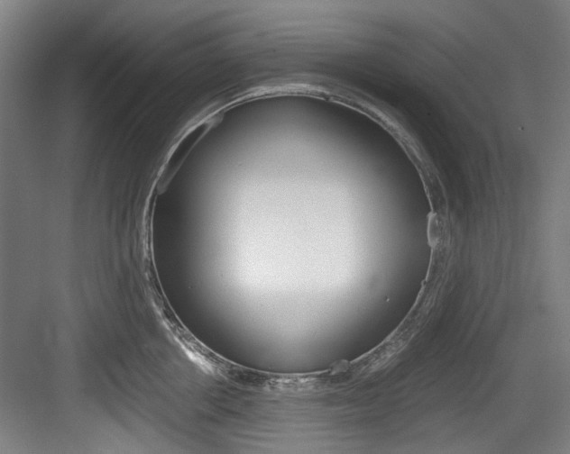 X0000084040858200702160851