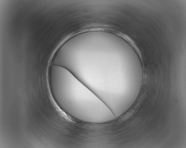 X0000084040859200702160851