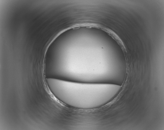 X0000084040860200702160851