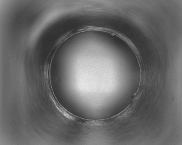 X0000084040862200702160851