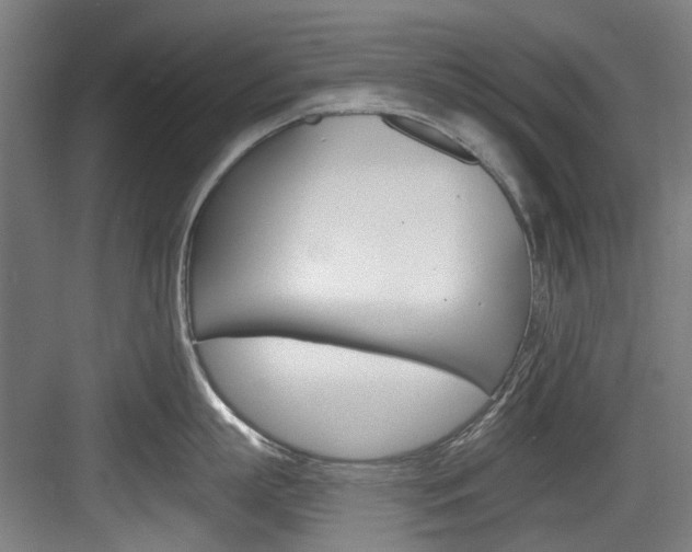 X0000084040863200702160851