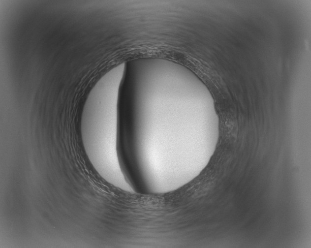 X0000084040865200702160851