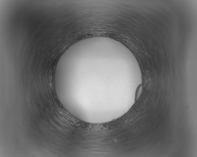 X0000084040866200702160851