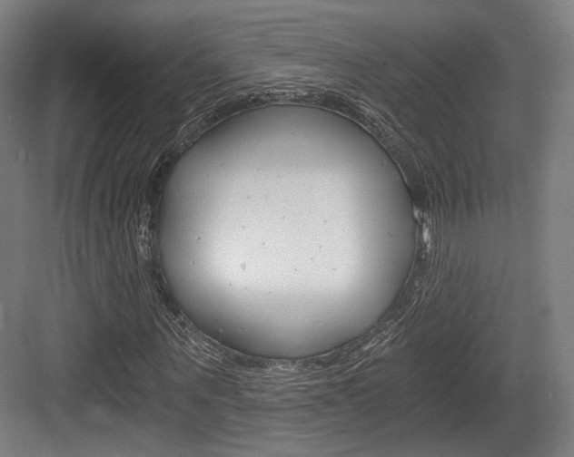 X0000084040867200702160851