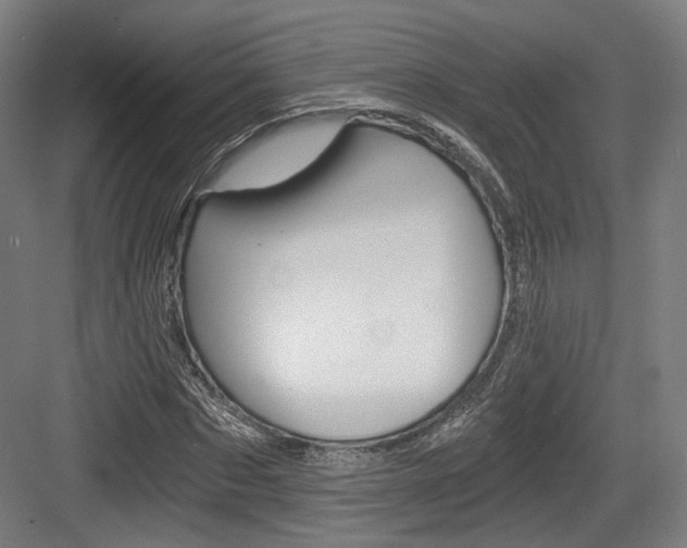 X0000084040873200702160851