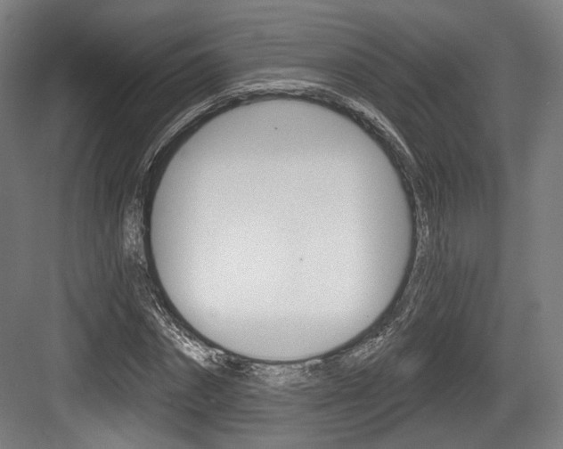 X0000084040874200702160851