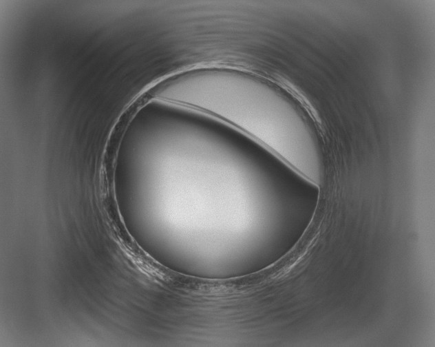 X0000084040876200702160850