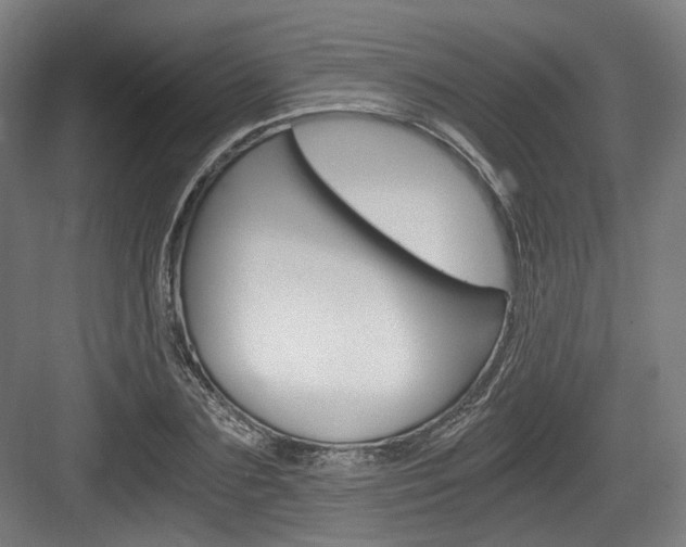 X0000084040883200702160850