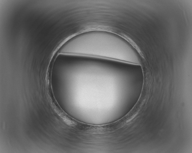 X0000084040885200702160850