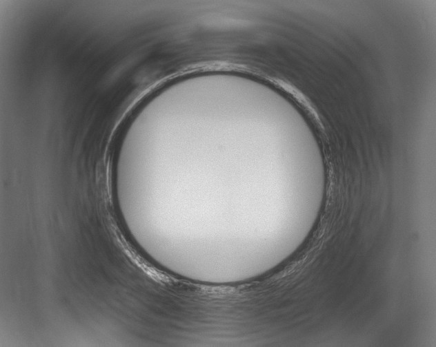 X0000084040886200702160850