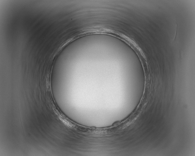 X0000084040889200702160850