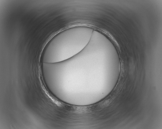 X0000084040890200702160850