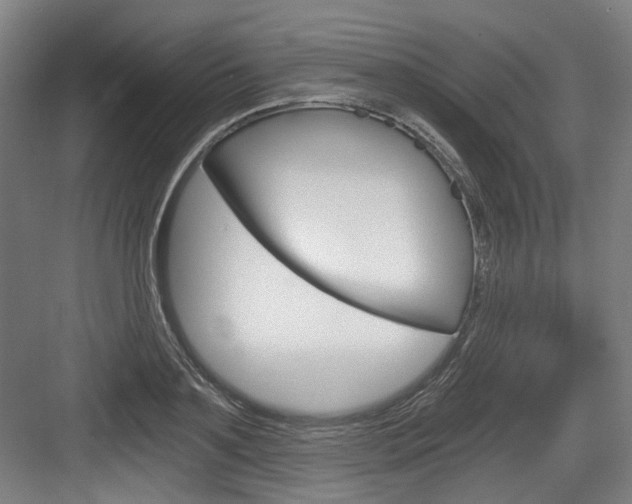X0000084040891200702160850