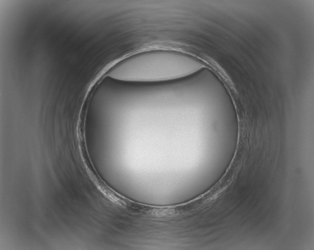X0000084040893200702160850
