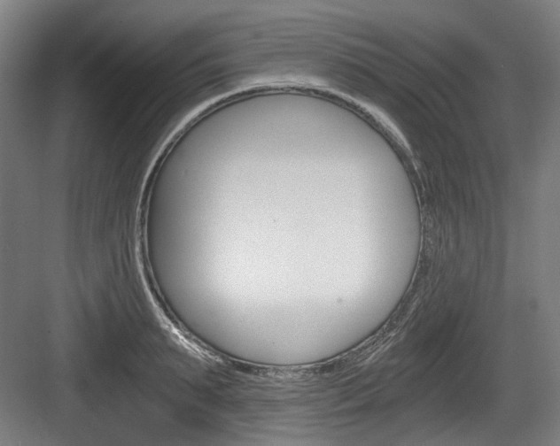 X0000084040895200702160850