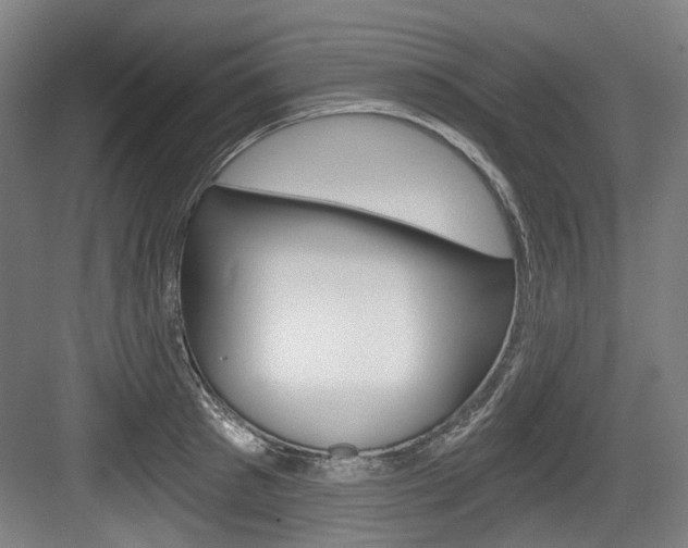 X0000084040897200702160850