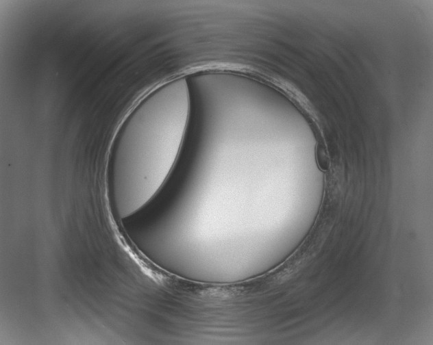 X0000084040898200702160850