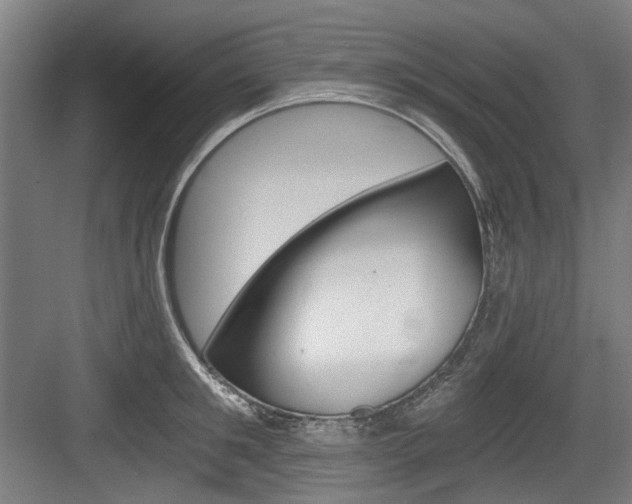 X0000084040901200702160850
