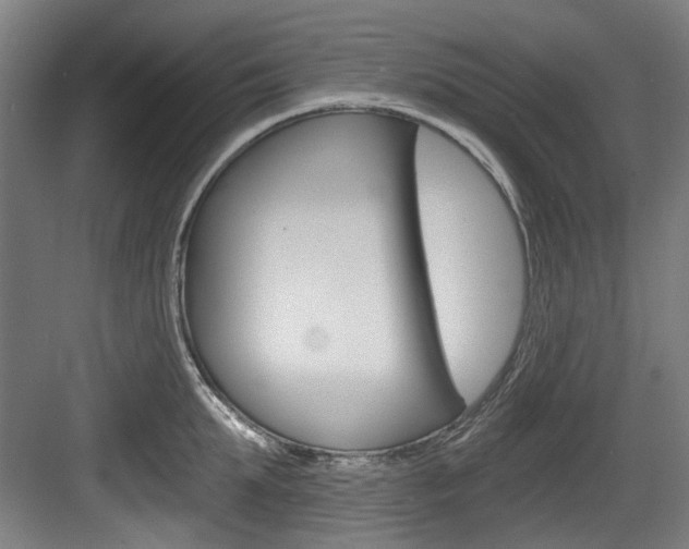 X0000084040903200702160850