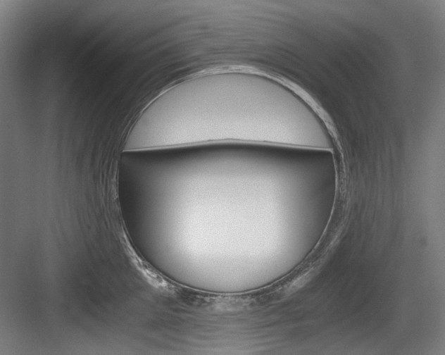 X0000084040905200702160850