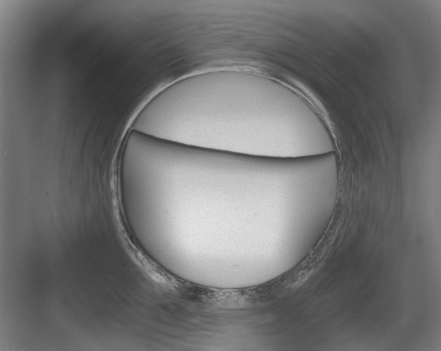 X0000084040907200702160850