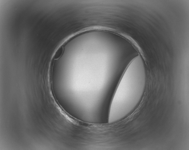 X0000084040910200702160850