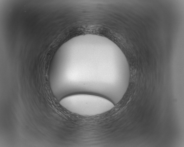 X0000084040913200702160849
