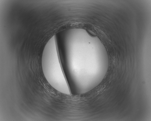X0000084040914200702160849