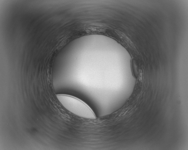 X0000084040915200702160849