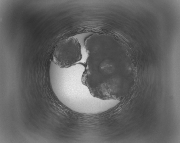X0000084040917200702160849