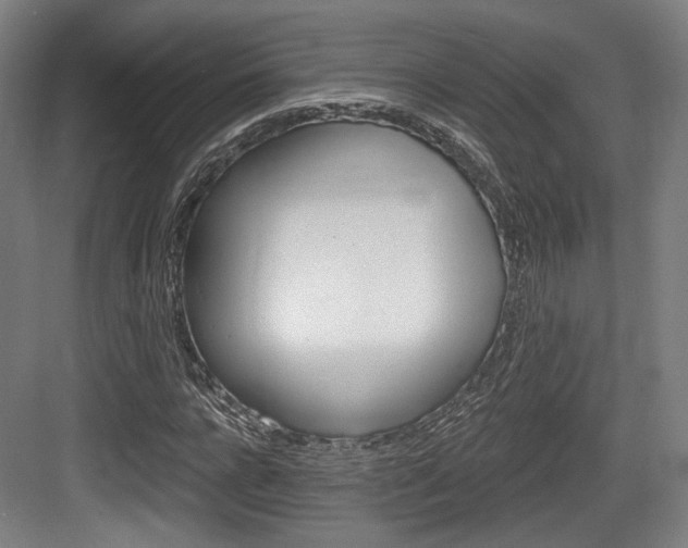 X0000084040920200702160849