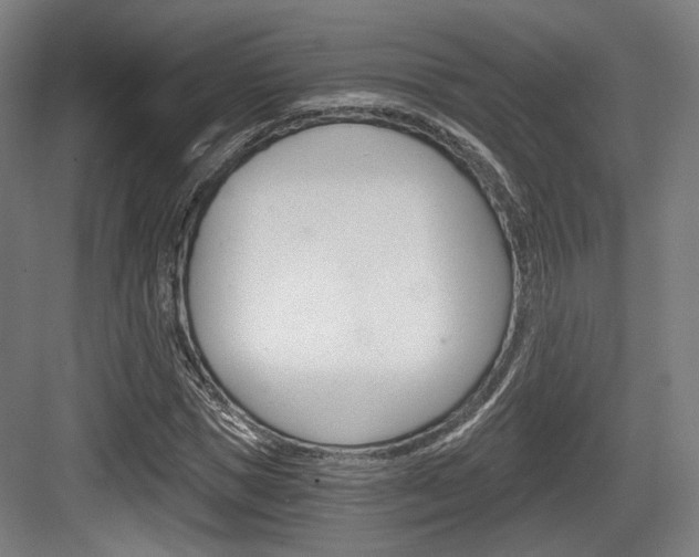 X0000084040921200702160849