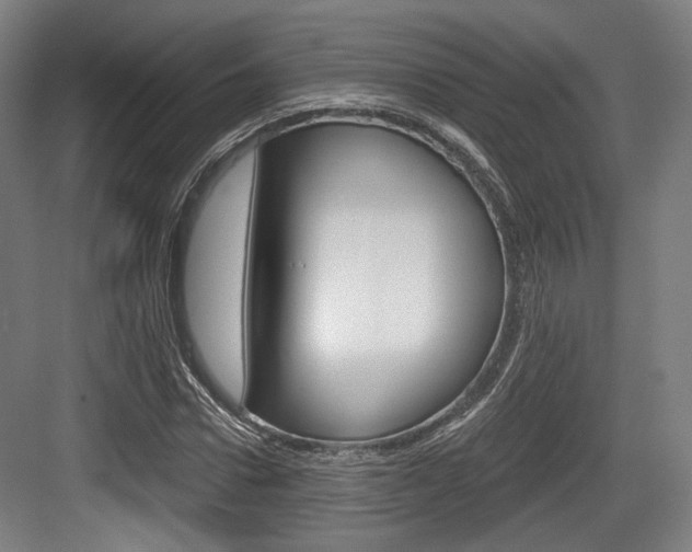 X0000084040922200702160849
