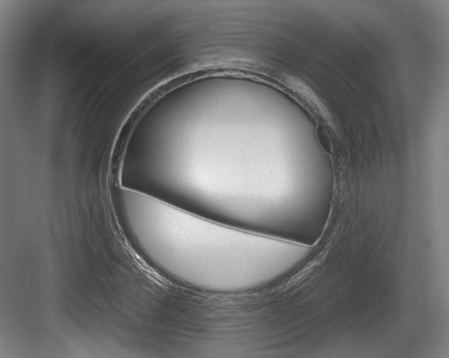X0000084040924200702160849